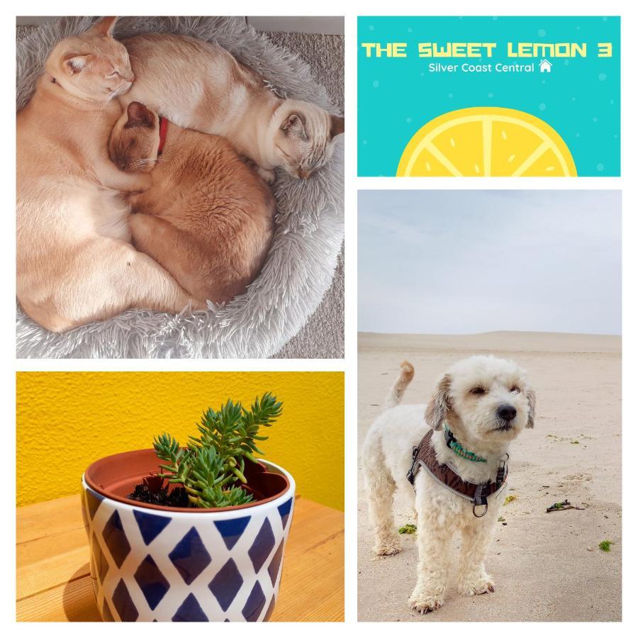 The Sweet Lemon 3 Apartamento Bombarral Exterior foto